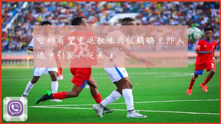 哈姆有望重返教练岗位鹈鹕主帅人选中引发广泛关注