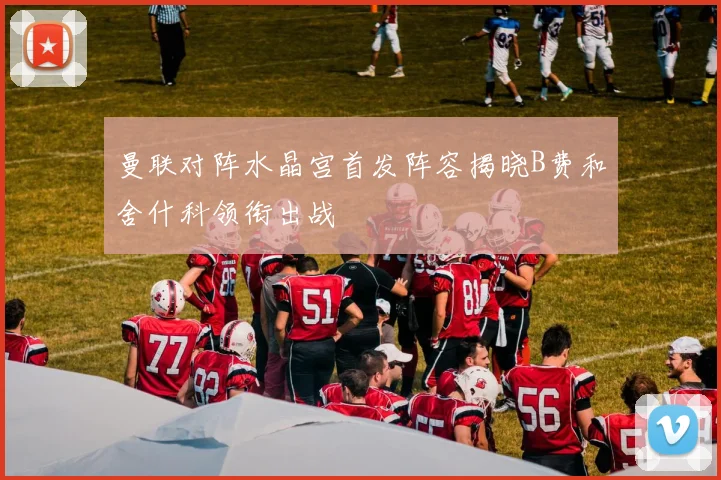 曼联对阵水晶宫首发阵容揭晓B费和舍什科领衔出战
